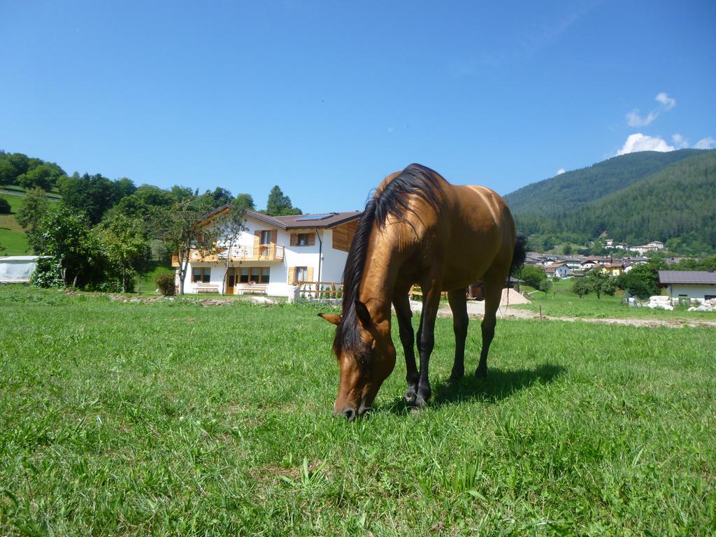 Agriturismo Fattoria Dalcastagne Torcegno Buitenkant foto
