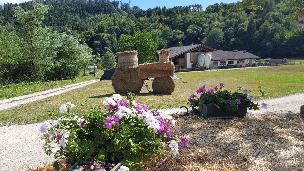 Agriturismo Fattoria Dalcastagne Torcegno Buitenkant foto