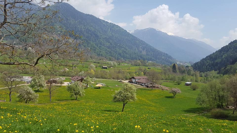 Agriturismo Fattoria Dalcastagne Torcegno Buitenkant foto